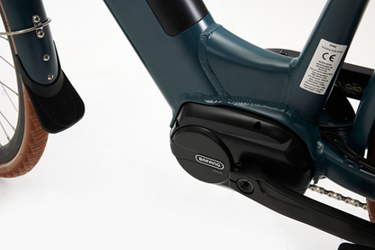 Beaufort Babett